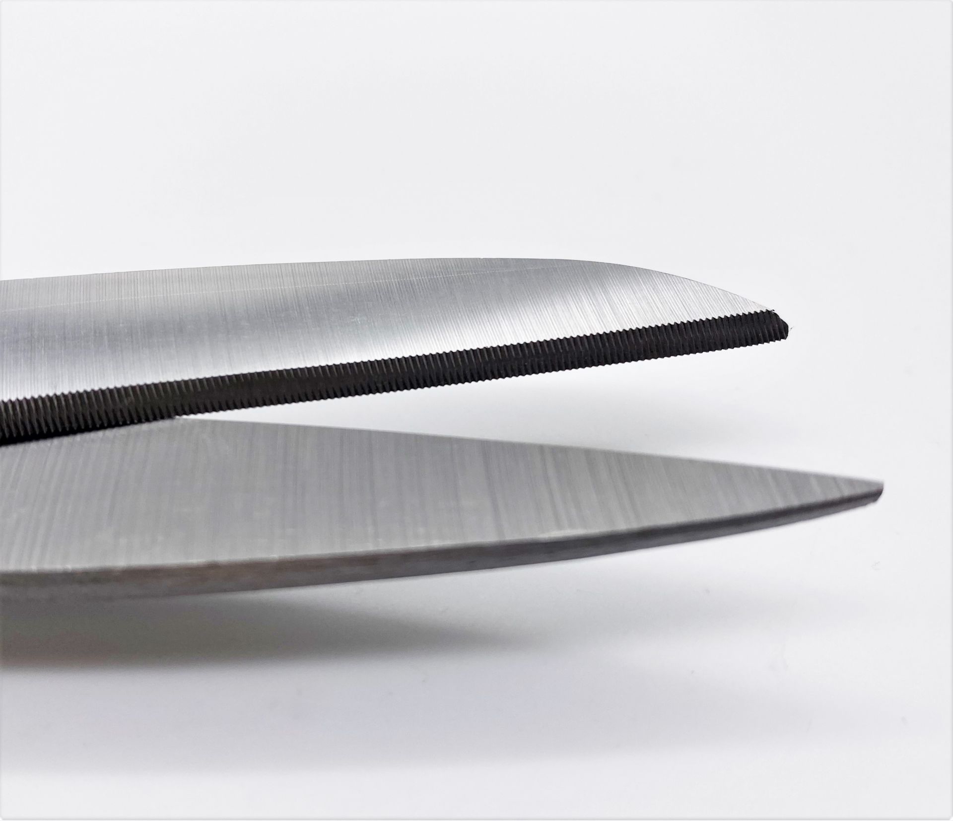 ROBUSO-PROTON Trimming shears, coated 1024/S/10"