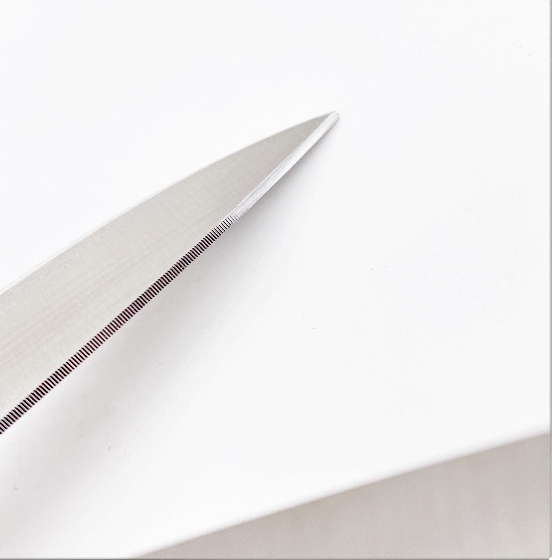 ROBUSO-PROTON Trimming shears, coated 1024/S/10"