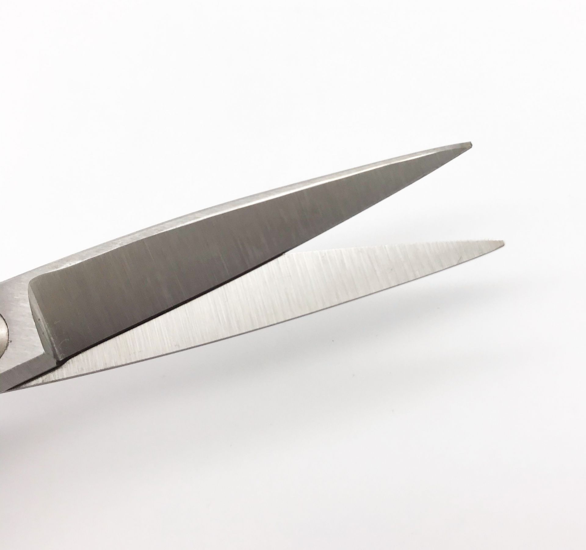 ROBUSO-PROTON Trimming shears, coated 1024/S/10"