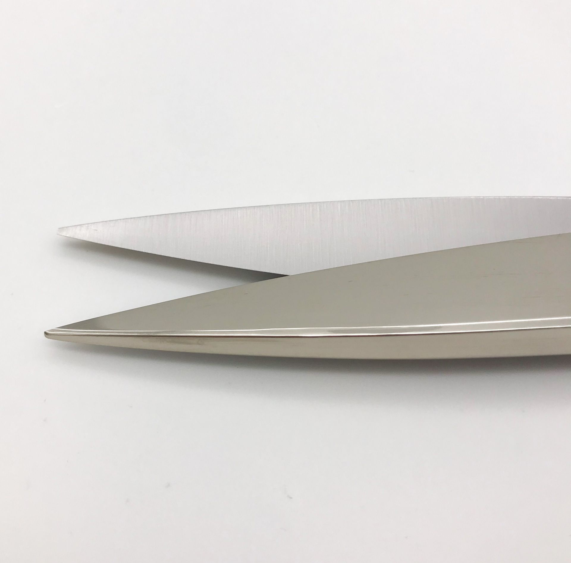 ROBUSO-PROTON Trimming shears, coated 1024/S/10"