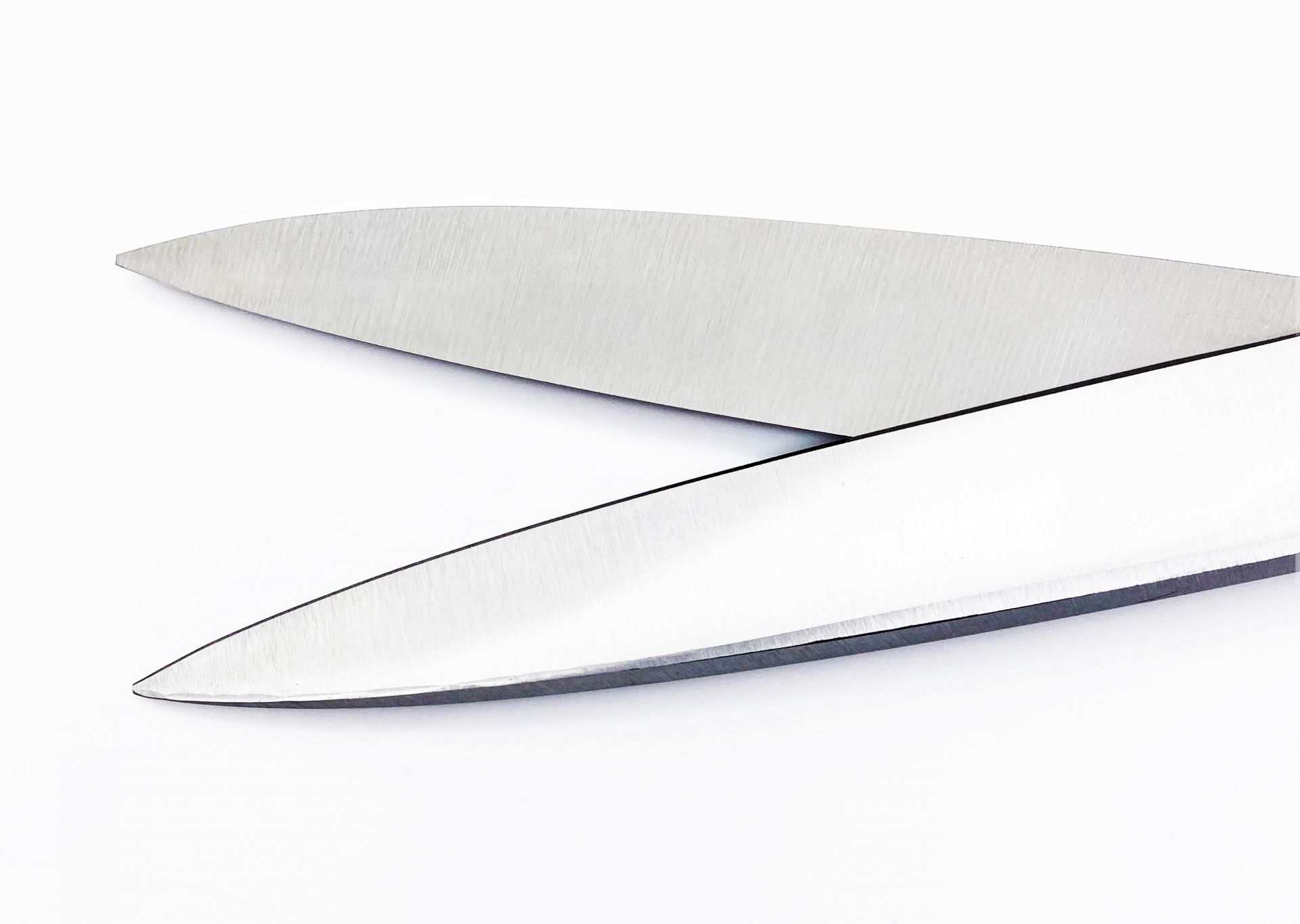 ROBUSO-PROTON Trimming shears, coated 1024/S/10"